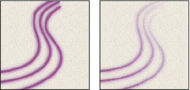 Photoshop Transfer brush options