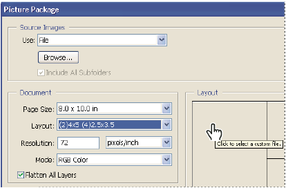 Photoshop Picture Package dialog box