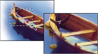 Photoshop Using Zoom tool to magnify