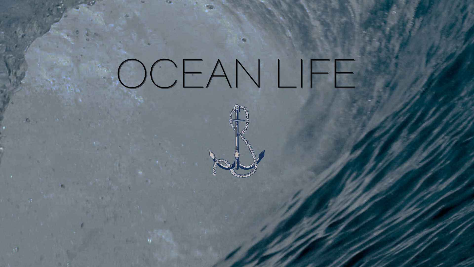 Motion Graphics-Vorlage in Premiere Pro angepasst