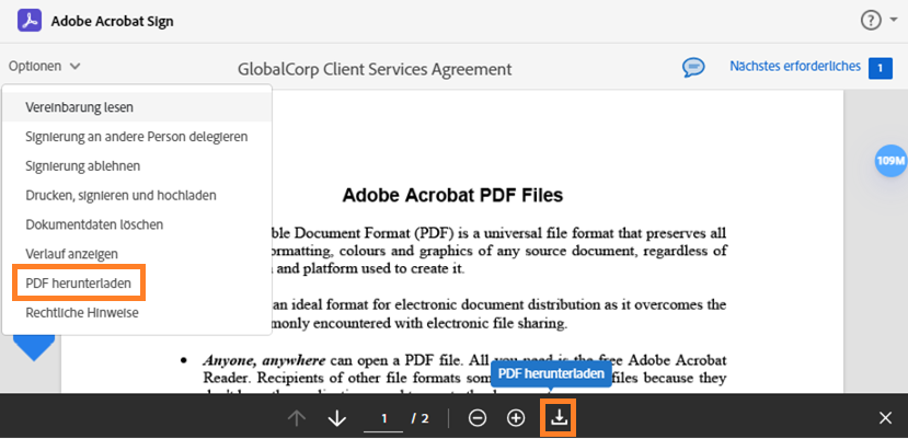 Die E-Signatur-Seite mit dem erweiterten Menü „Optionen“ und der hervorgehobenen Option „PDF-Datei herunterladen“