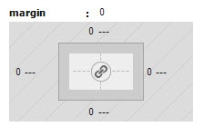 The margin property has been set to 0 on all sides.