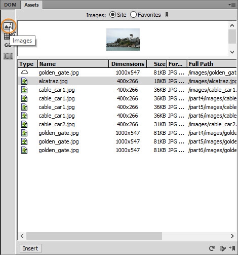 The assets panel lists all images, colors, URLs, and media in the current site.
