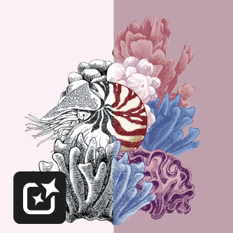 card cover