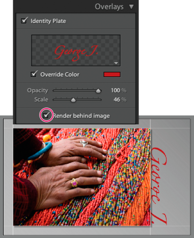 Lightroom Classic CC Displaying the identity plate behind photos