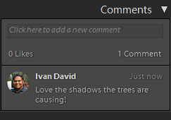 Lightroom Classic CC A photo with feedback from a user