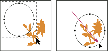 Photoshop Drag a path to a new location