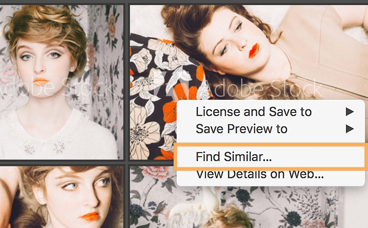 Right-click an image and select “Find Similar” to find similar images in Adobe Stock.