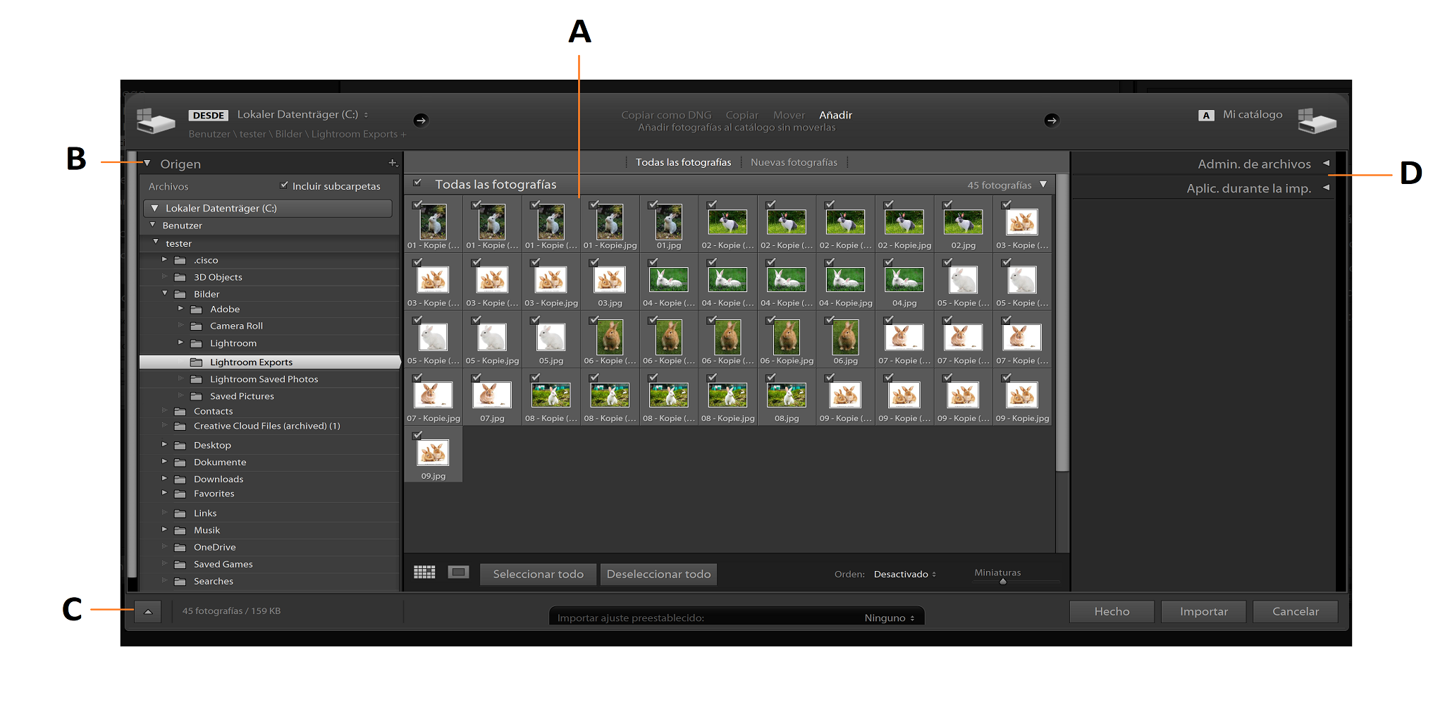 Ventana de importación de Lightroom Classic 