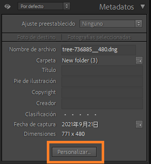 personalizar panel de metadatos