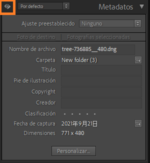 Metadatos de solo edición 