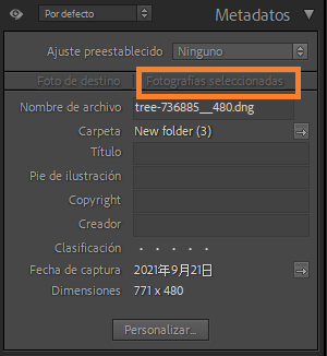 metadata-selected-photo