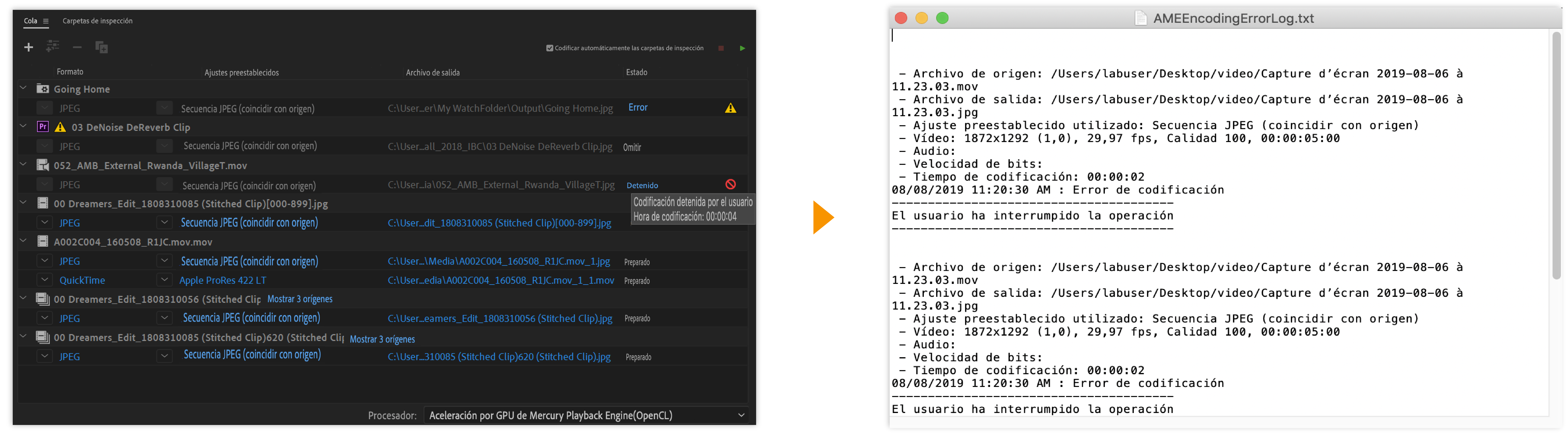 Registro de visualización