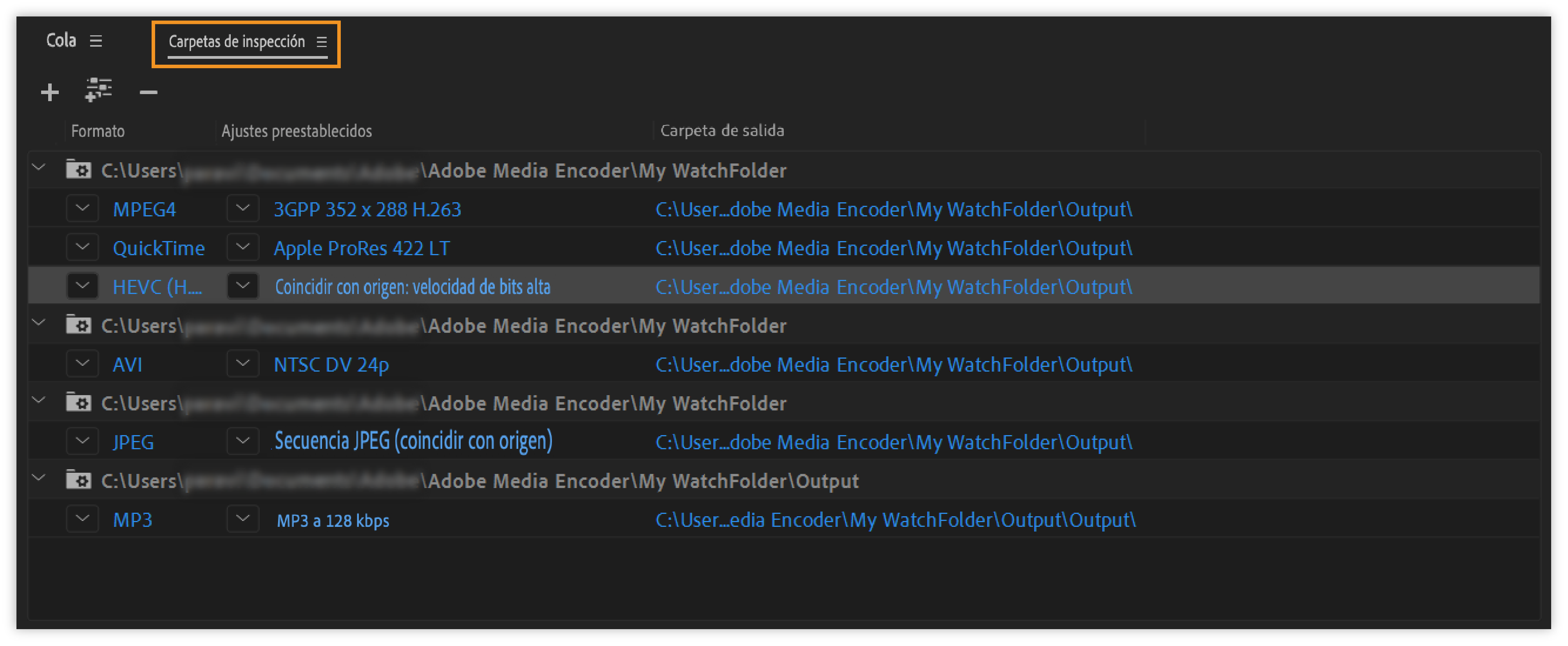 Panel Carpetas de inspección