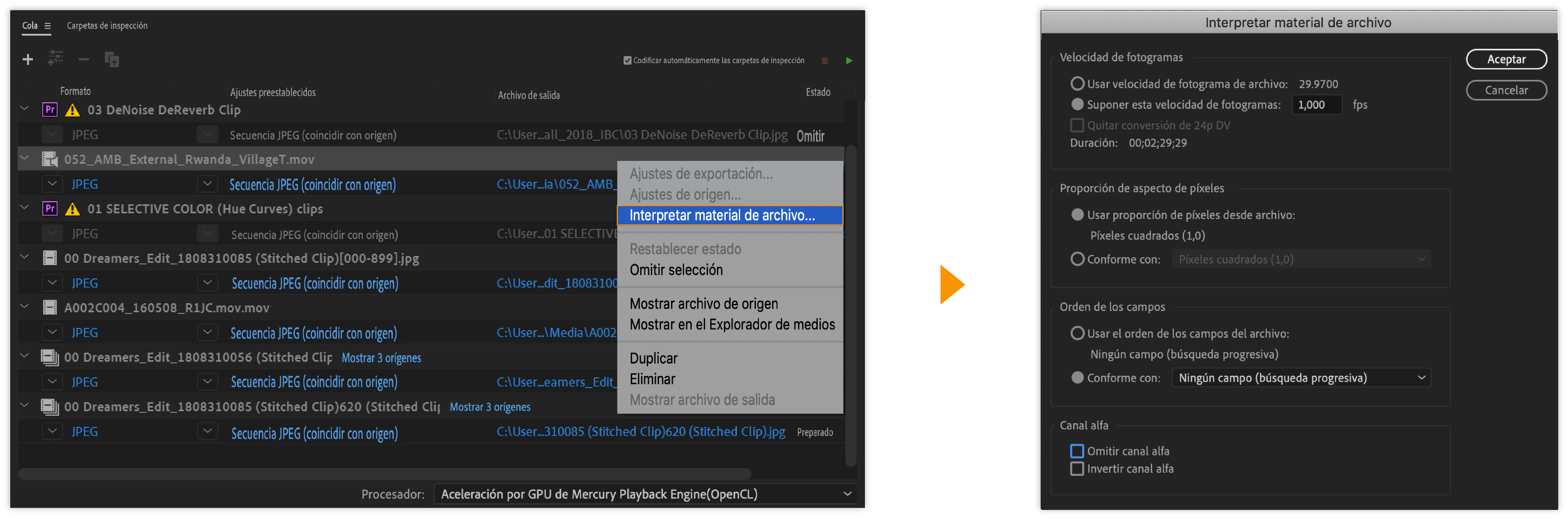Interpretar material de archivo