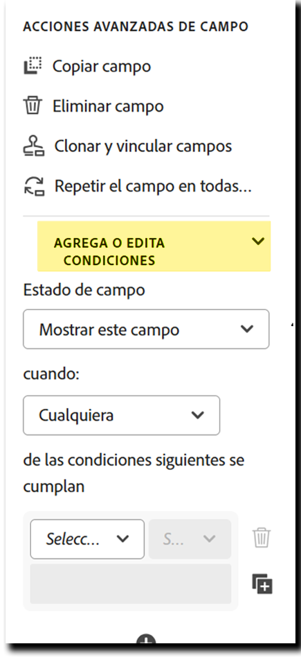 Sección Agregar o Editar condiciones de las propiedades del campo.