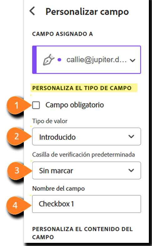 Vista del menú de personalización de campos con la sección Tipo de campo personalizable resaltada.
