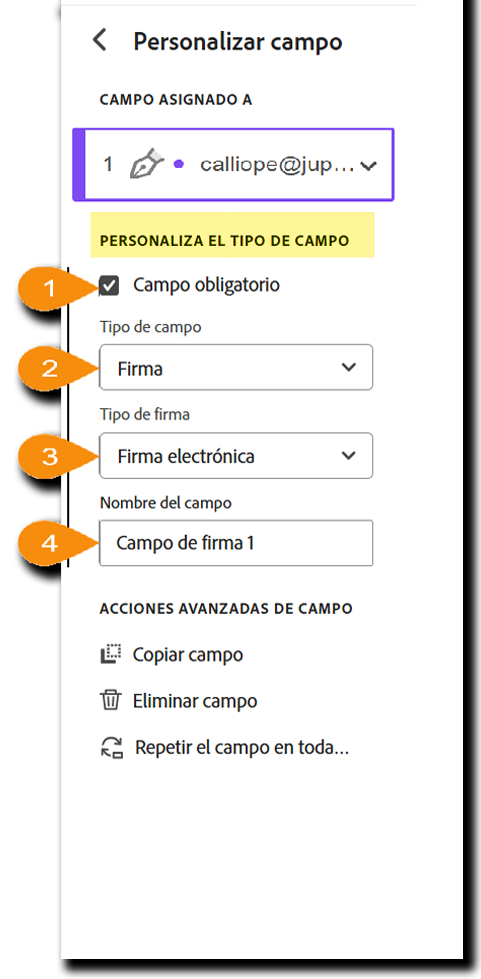 Vista del menú de personalización de campos con la sección Tipo de campo personalizable resaltada.