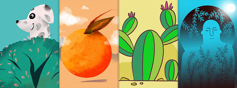 Adobe Frescolla luotuja yksinkertaisia, mutta laadukkaita kuvia