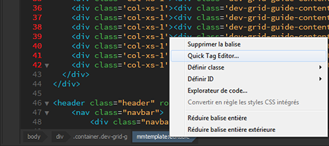 Sélection de Quick Tag Editor