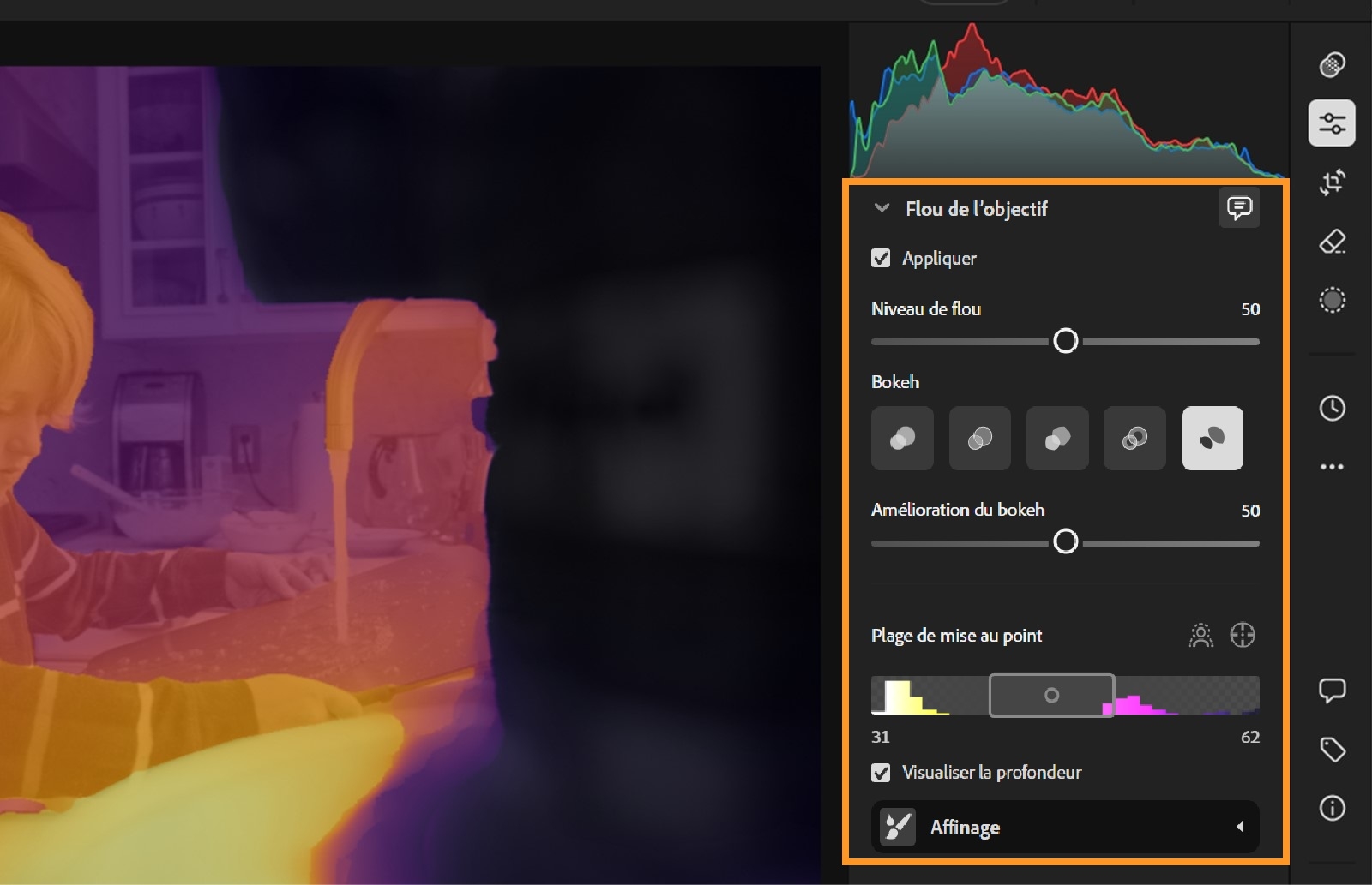 L’image affiche une photo floue avec l’interface Flou de l’objectif sur le côté droit. L’interface comprend des paramètres réglables pour un effet de flou de l’objectif, tels que Niveau de flou, Bokeh, Amélioration du bokeh, Plage d’éclairage et Plage de mise au point. L’histogramme ci-dessus affiche les niveaux de couleur en rouge, en vert et en bleu. L’image semble utile aux techniques de retouche photo et aux effets de profondeur de champ.