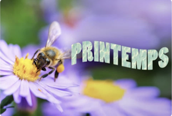 Ajoutez du texte stylisé à l’aide de la modification guidée Ajouter du texte.