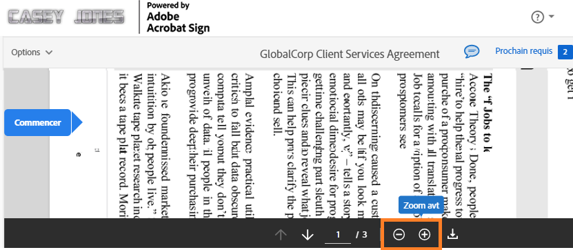 Page de signature électronique avec les commandes d’agrandissement mises en évidence au bas de la page.