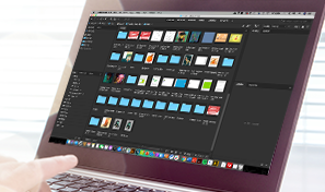 Рабочая область Adobe Bridge