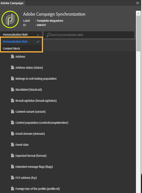 Sezioni nel pannello dell'estensione di Adobe Campaign