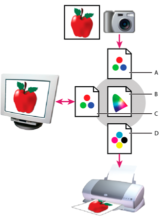 Profili dei documenti in Photoshop