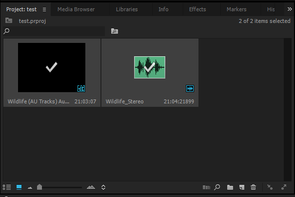Finestra di dialogo Esporta per Premiere Pro