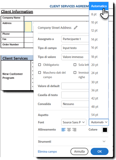 Proprietà Dimensione font per i campi di testo