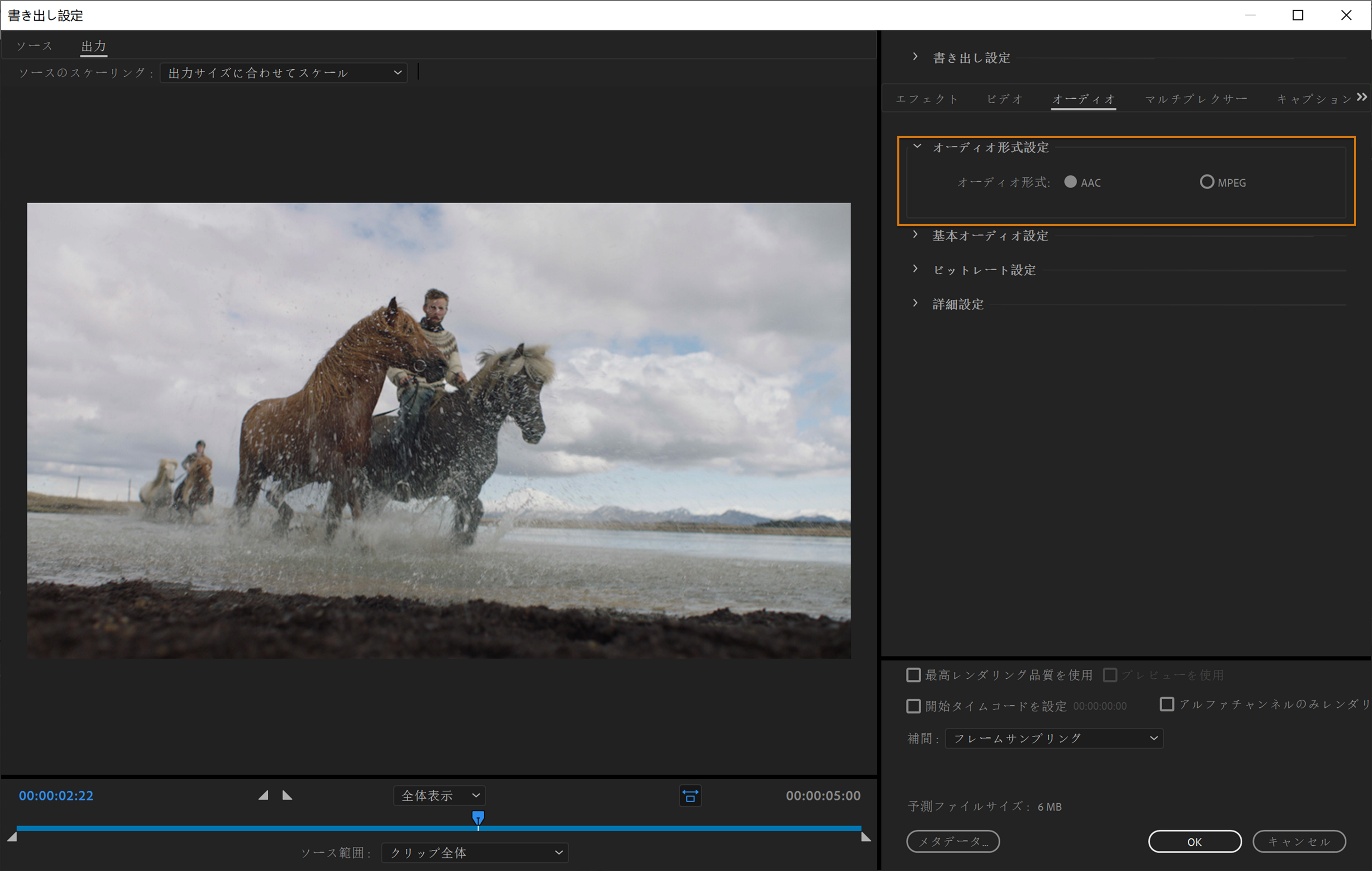 オーディオ形式設定