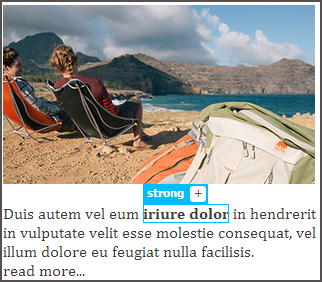 굵은 체 형식의 텍스트 선택