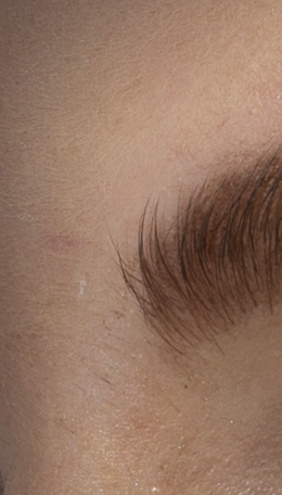 PS CC 2015.1 이상에서 복구(확산 5)