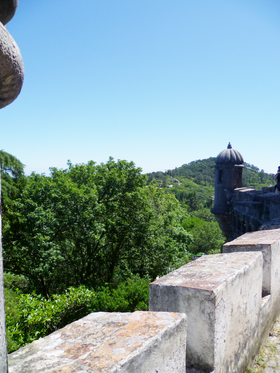 왼쪽 상단에 두 개의 둥글 납작한 개체가 있는 이미지