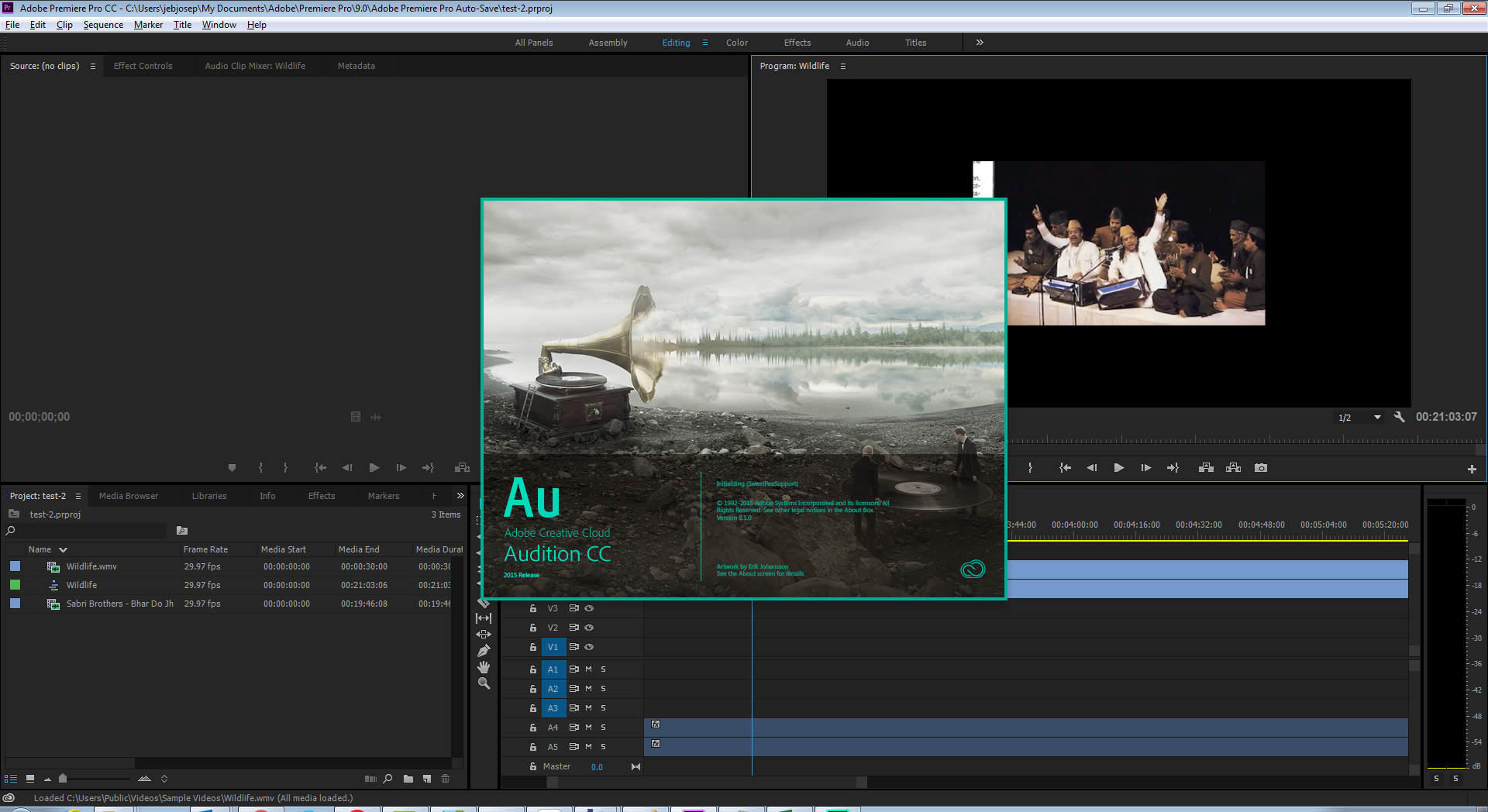 Adobe Audition 대화 상자