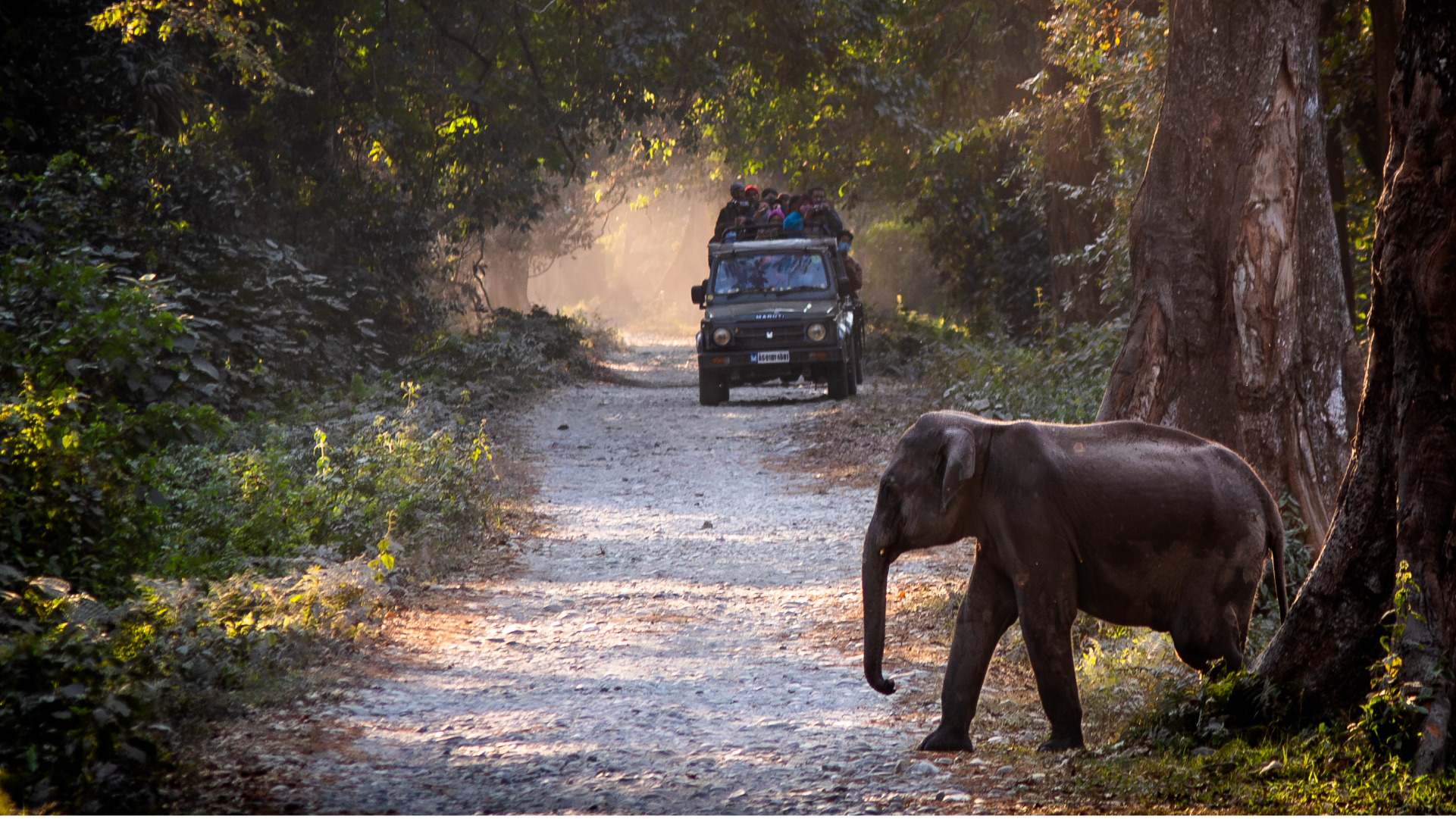 Generative Remove - After