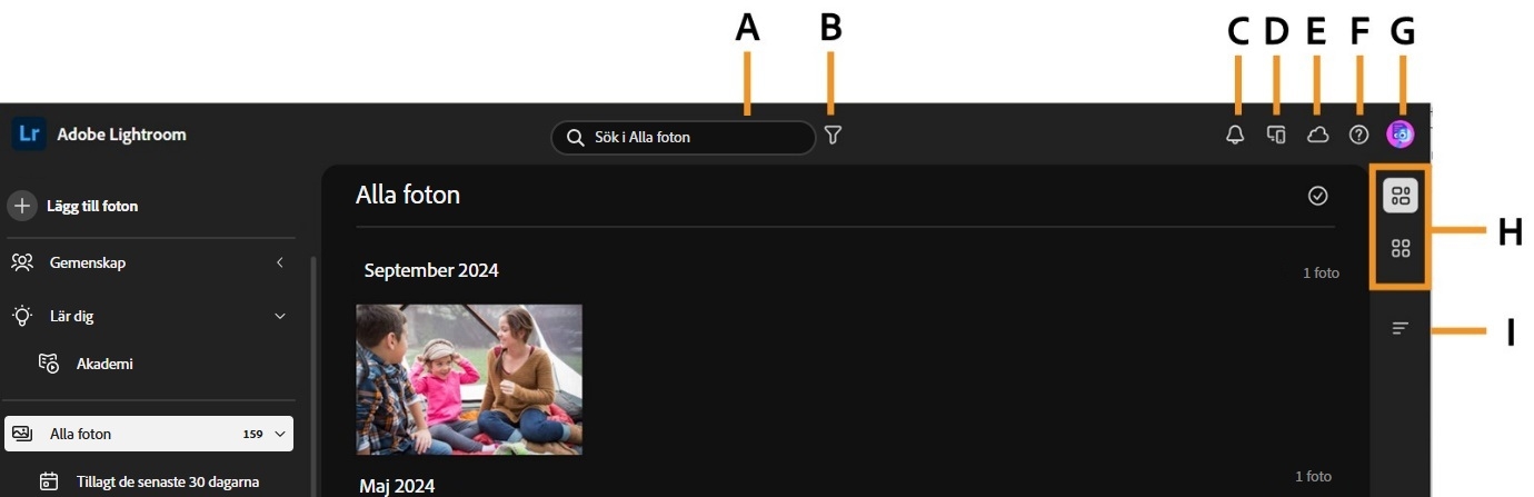 Vyn Alla foton visas med en bild.