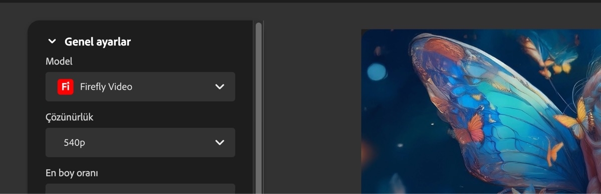 Genel ayarlar bölümünde, Model seçeneğinin altında, Firefly Video seçilidir.