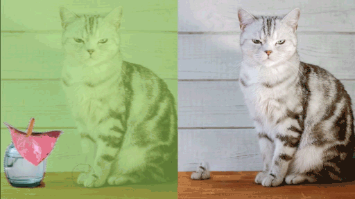 Örnekleme Fırça aracı