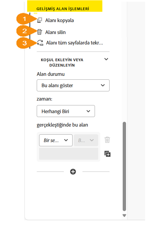 Alan özelliklerinin Gelişmiş Alan İşlemleri bölümü.