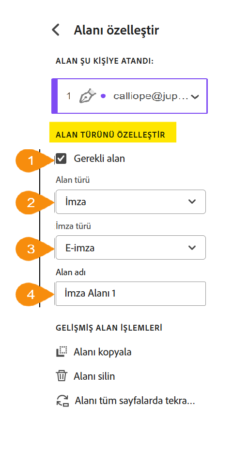 Özelleştirilebilir Alan Türü bölümü vurgulanmış olarak Alan özelleştirme menüsünün görünümü.
