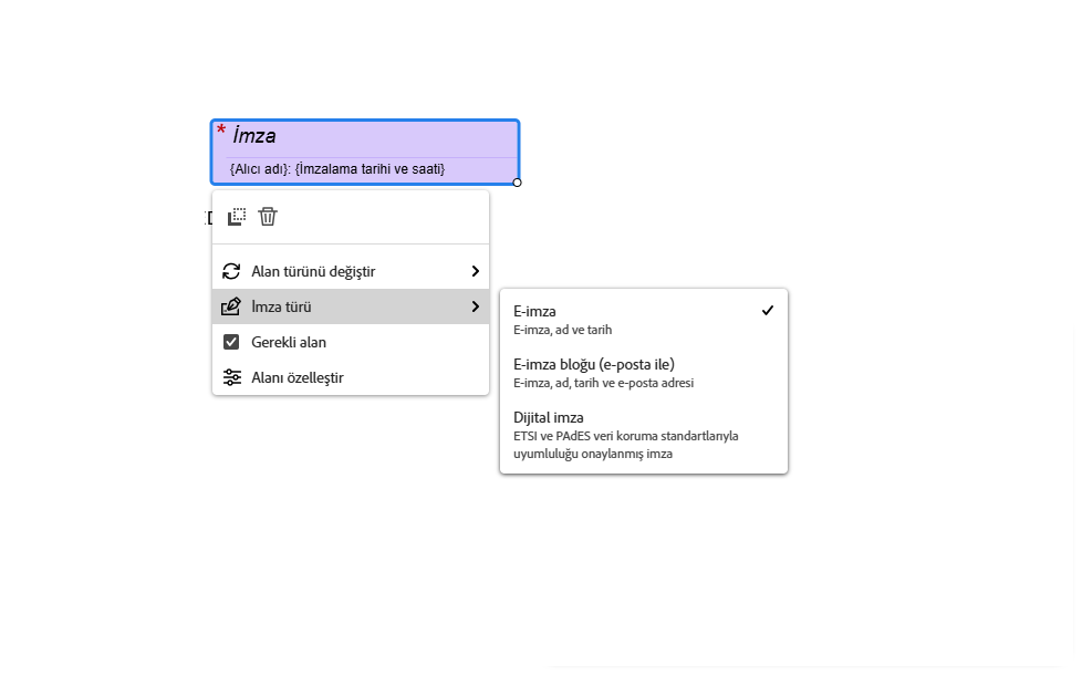 Alan sol tıklatma menüsü açık olarak e-imza alanının ve genişletilmiş olarak İmza Türü açılır menüsünün görünümü.